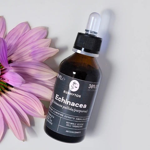 Echinacea