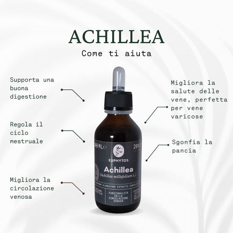 Ciclo armonico