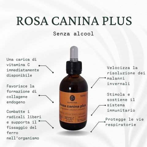 Rosa canina plus