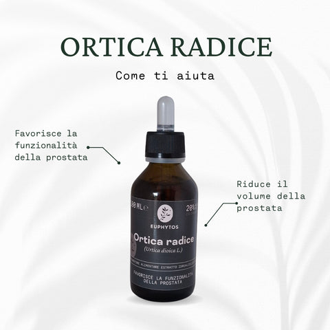 Ortica radice