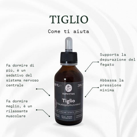 Tiglio