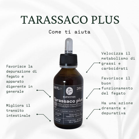 Tarassaco plus