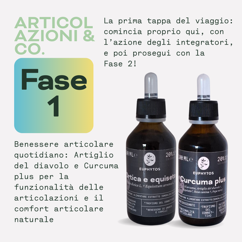 Articolazioni & Co. - Fase 1