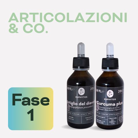 Articolazioni & Co. - Fase 1