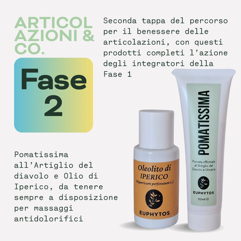 Articolazioni & Co. - Fase 2