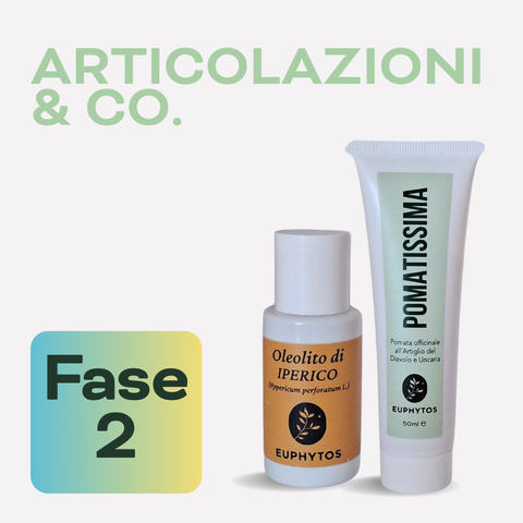 Articolazioni & Co. - Fase 2