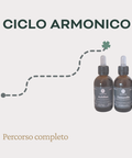 Ciclo armonico