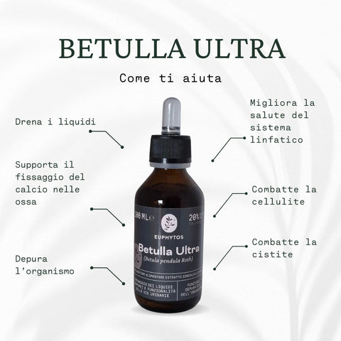 Betulla estratto totale