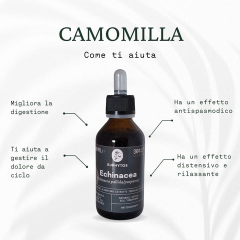 Ciclo armonico