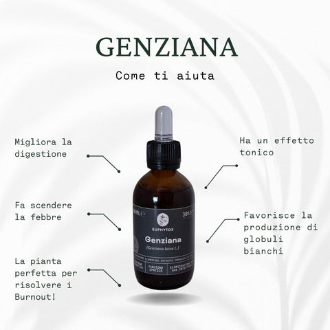 Genziana