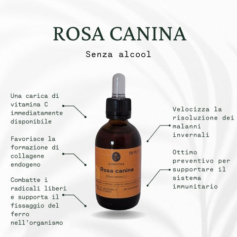 Rosa canina senza alcool