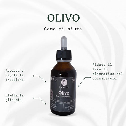 Olivo