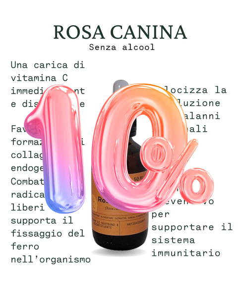 Rosa canina senza alcool