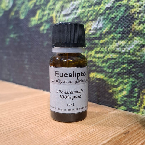 Eucalipto Olio essenziale