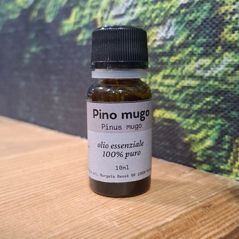 Pino mugo Olio essenziale