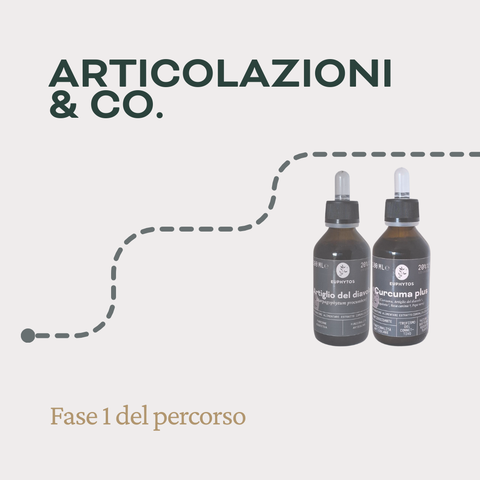 Articolazioni & Co. - Fase 1