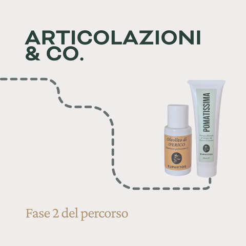 Articolazioni & Co. - Fase 2