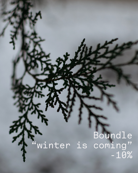 ⚡ BUNDLE WINTER IS COMING