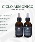 Ciclo armonico