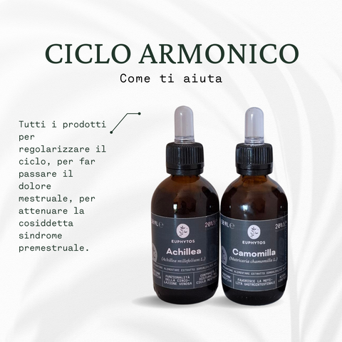 Ciclo armonico