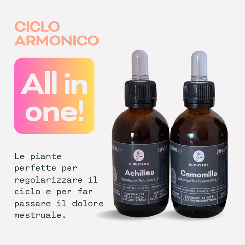 Ciclo armonico