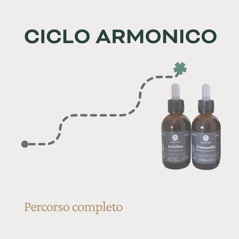 Ciclo armonico