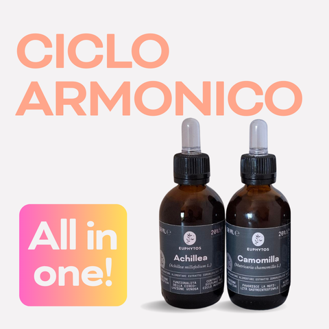 Ciclo armonico
