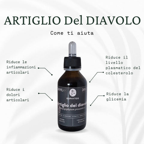 Articolazioni & co.